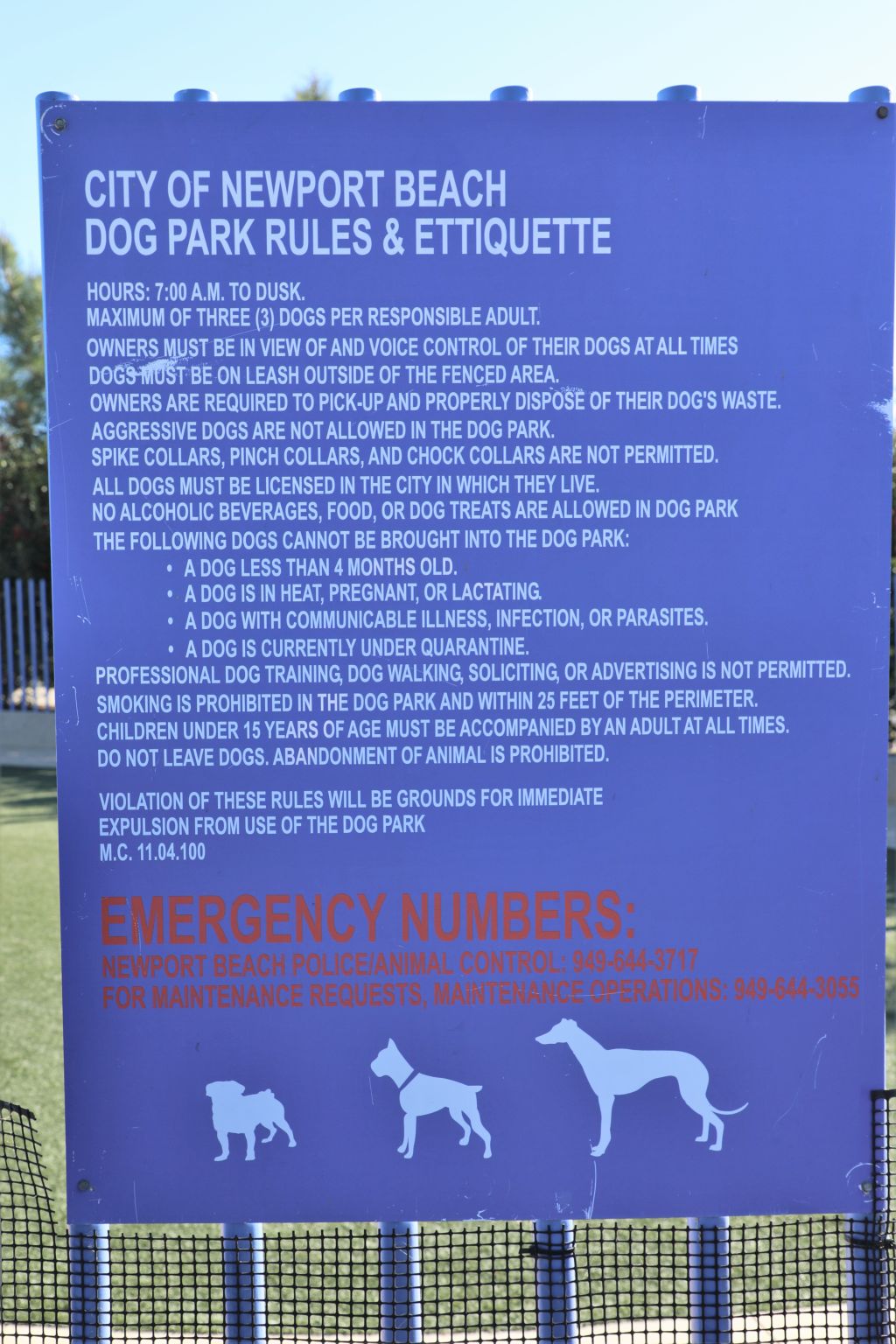 Complete Guide to Newport Beach Dog Rules for Pet Lovers